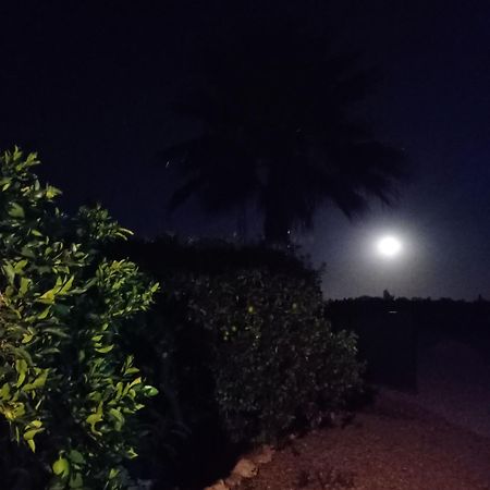 La Buganvilla, Descanso Entre Olivares Hornachuelos Kültér fotó