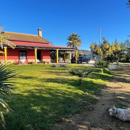 La Buganvilla, Descanso Entre Olivares Hornachuelos Kültér fotó