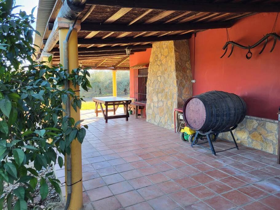 La Buganvilla, Descanso Entre Olivares Hornachuelos Kültér fotó