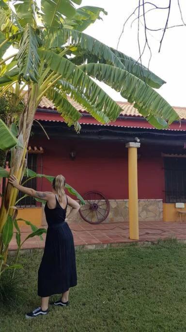 La Buganvilla, Descanso Entre Olivares Hornachuelos Kültér fotó