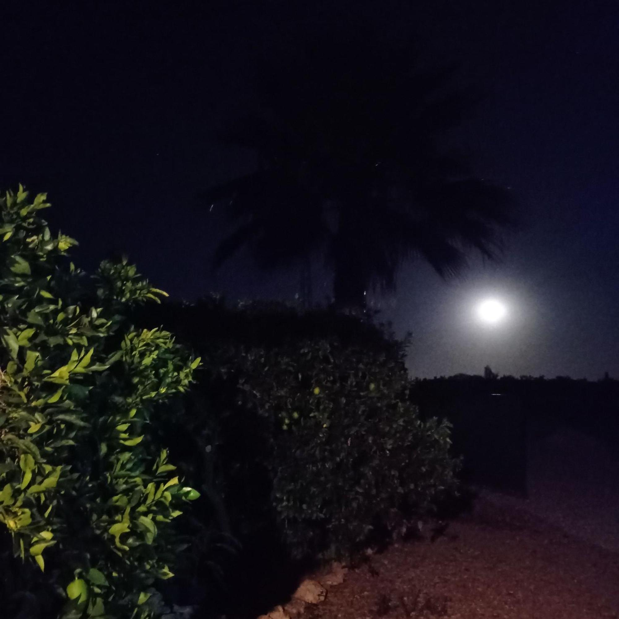 La Buganvilla, Descanso Entre Olivares Hornachuelos Kültér fotó