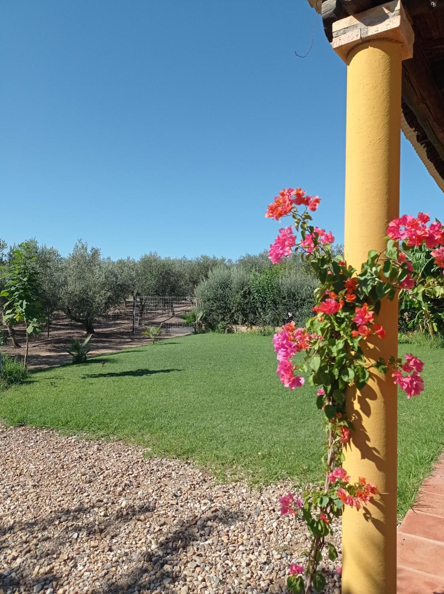 La Buganvilla, Descanso Entre Olivares Hornachuelos Kültér fotó