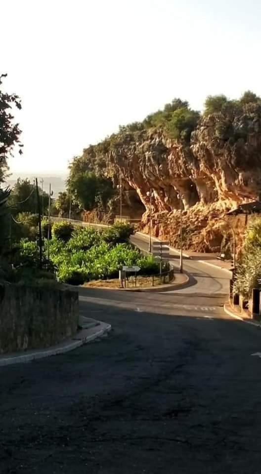 La Buganvilla, Descanso Entre Olivares Hornachuelos Kültér fotó