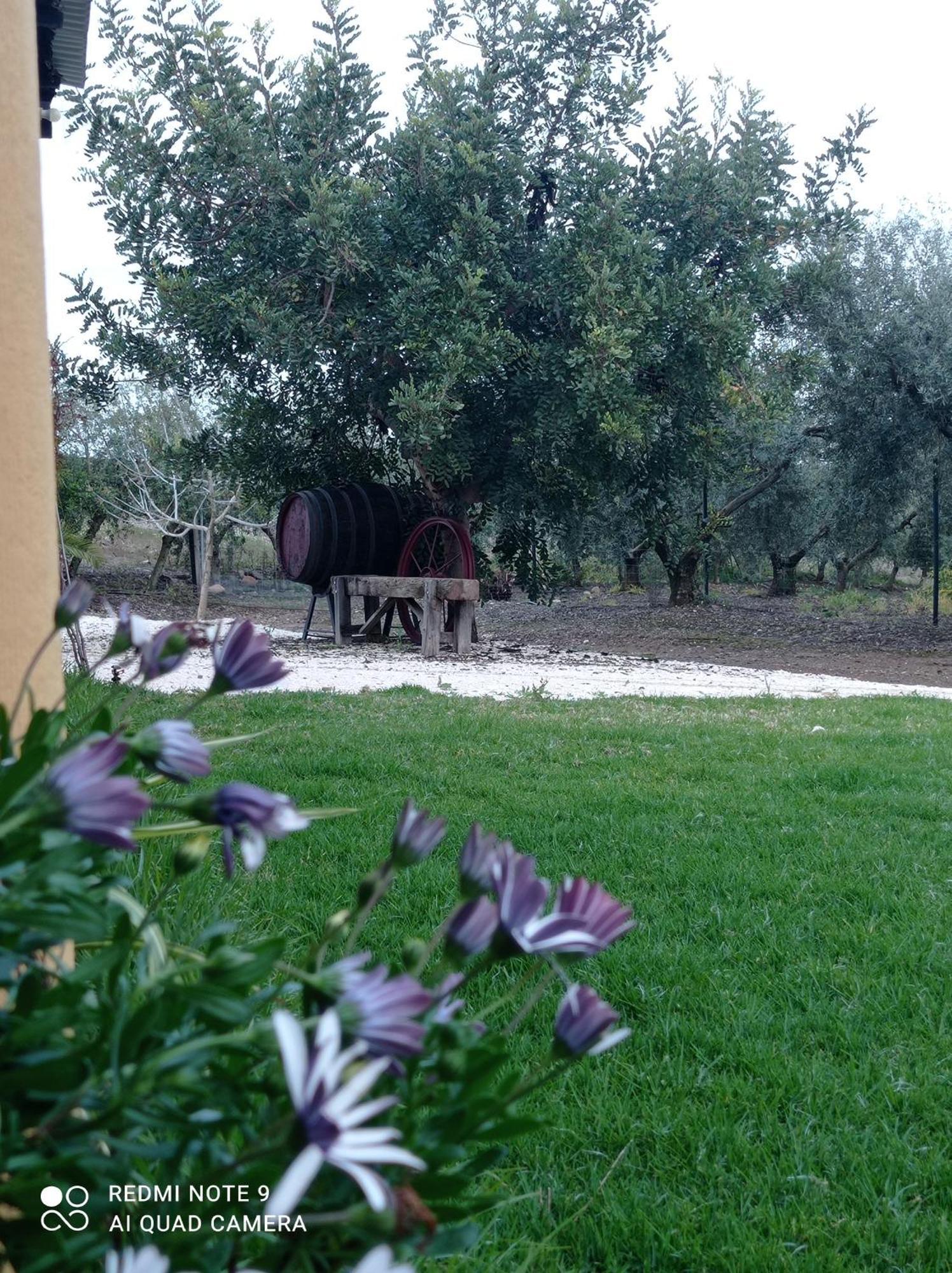 La Buganvilla, Descanso Entre Olivares Hornachuelos Kültér fotó
