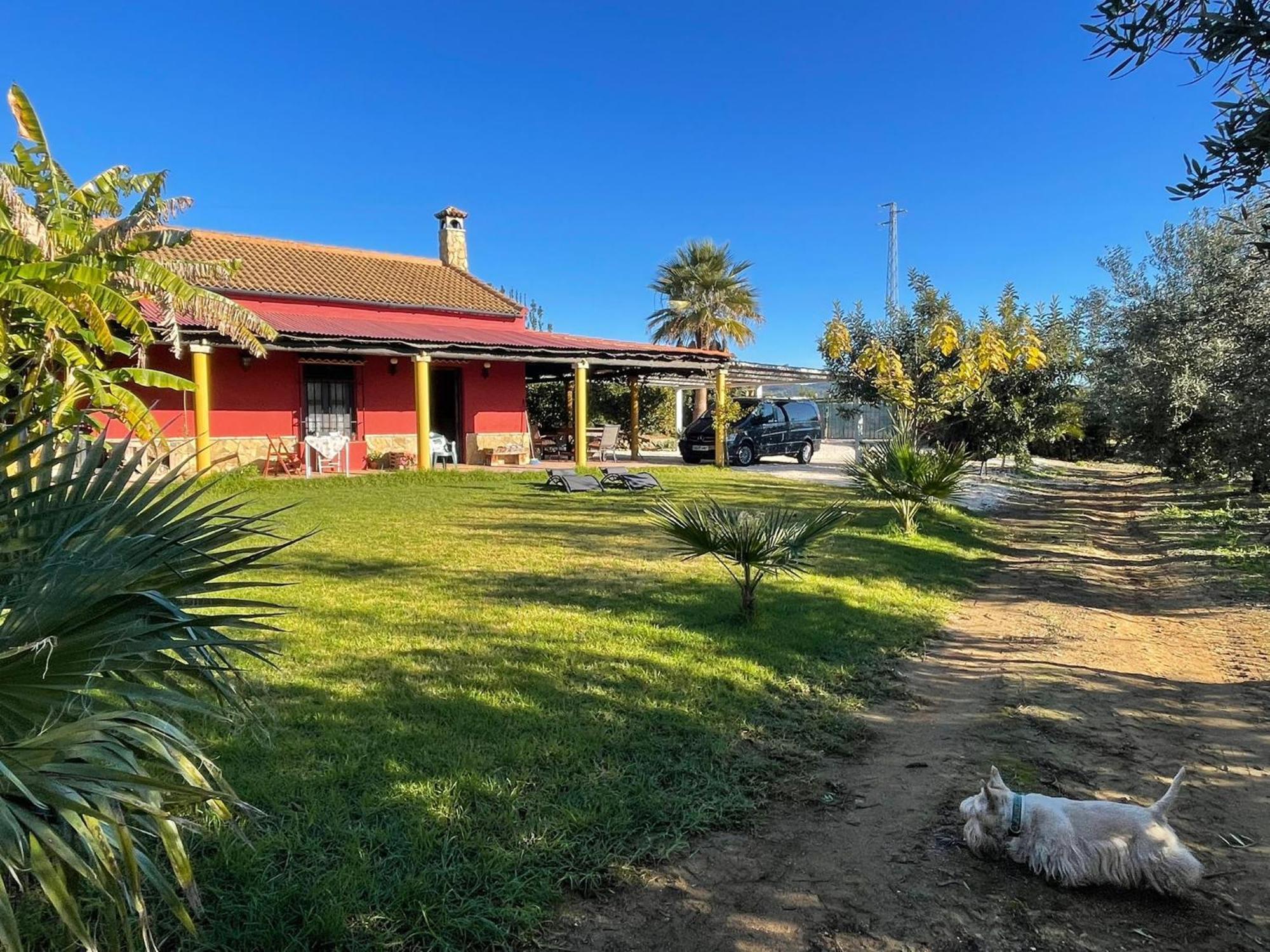 La Buganvilla, Descanso Entre Olivares Hornachuelos Kültér fotó